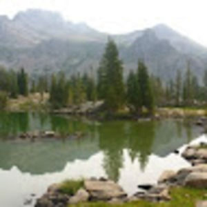 Meet your Posher, Colby